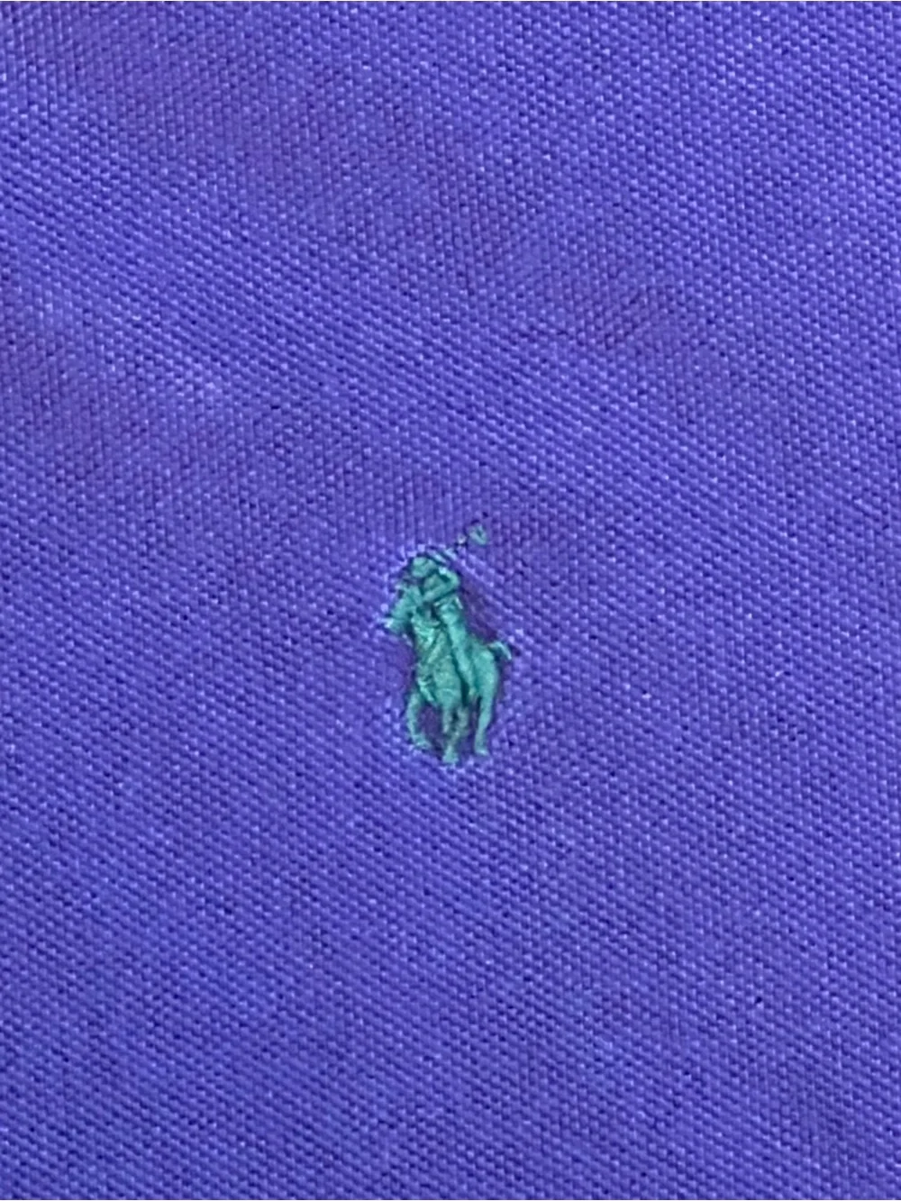 Ralph Lauren Men's Polo Shirt in Purple with Green Pony